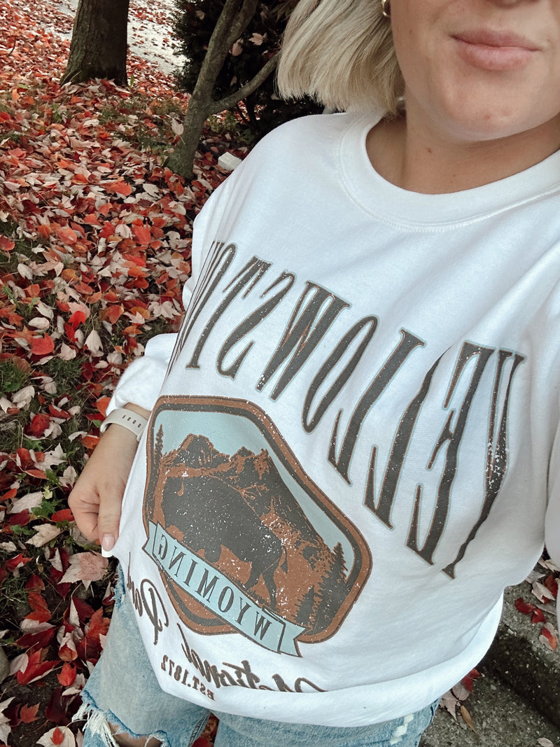 National Park Oversized Graphic Sweatshirt