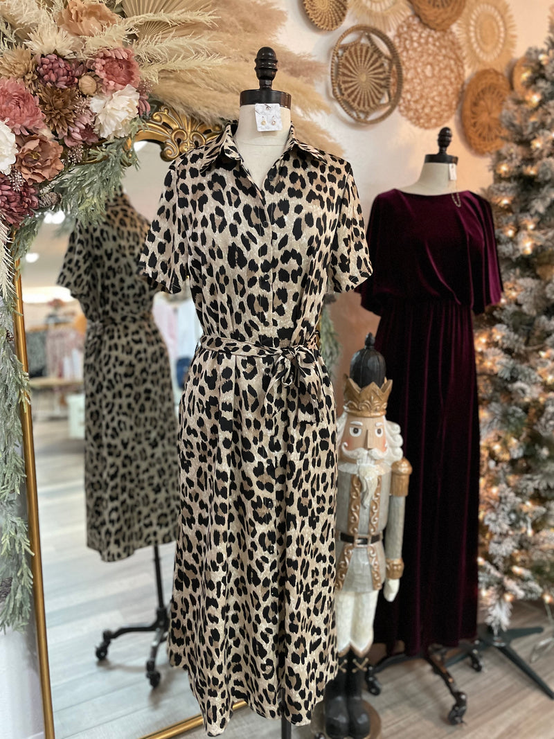 Stay Wild Leopard Dress