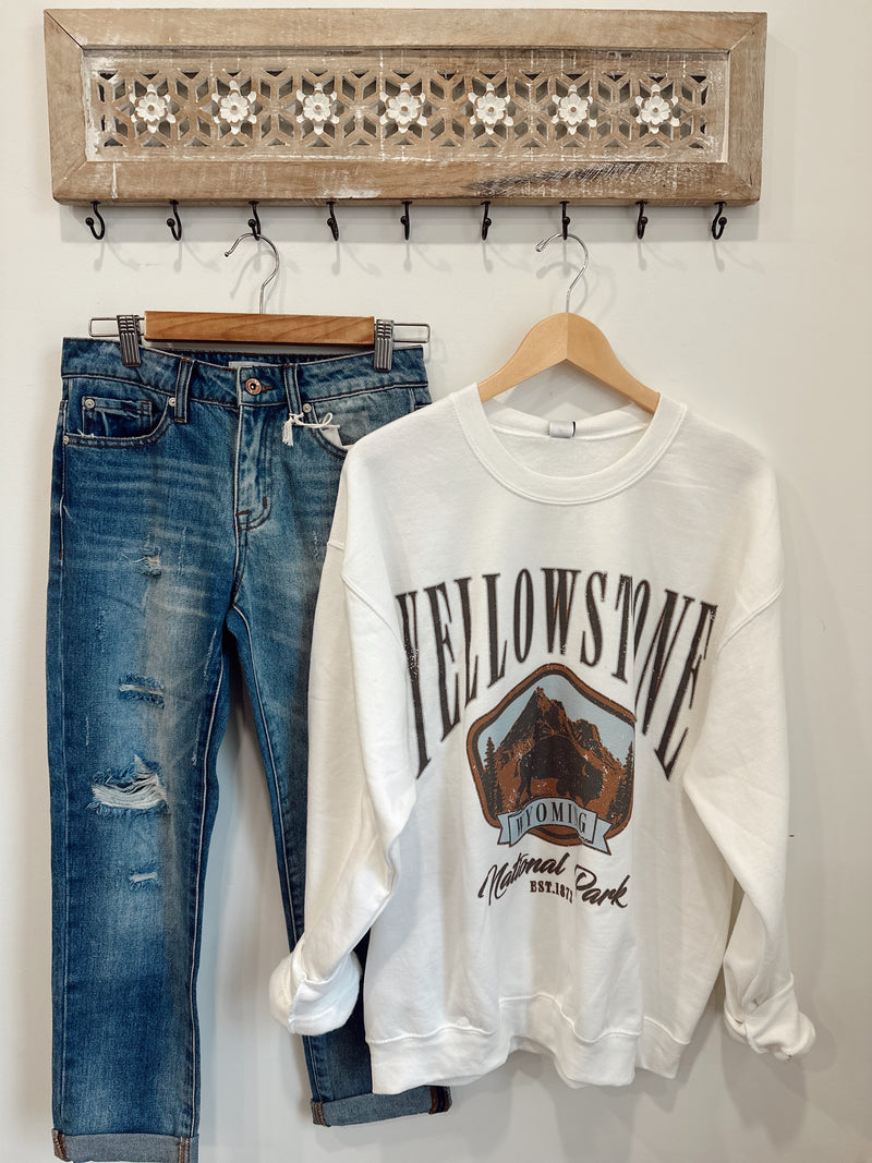 National Park Oversized Graphic Sweatshirt