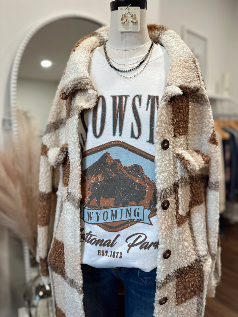 National Park Oversized Graphic Sweatshirt