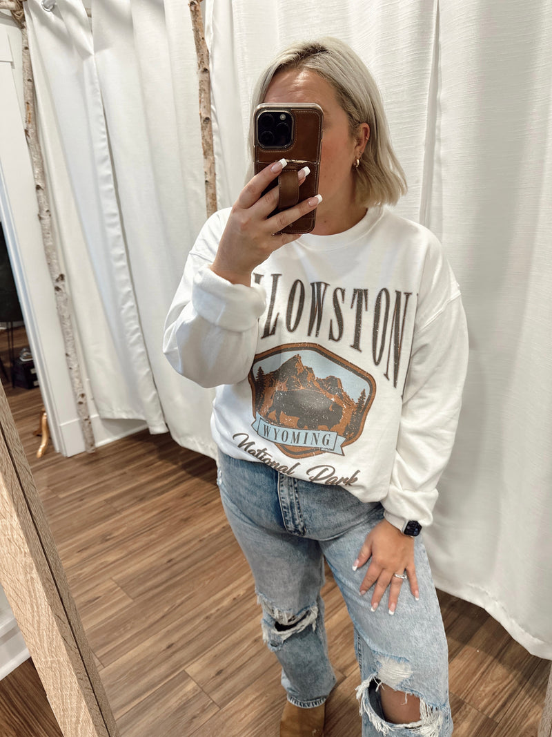 National Park Oversized Graphic Sweatshirt
