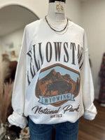 National Park Oversized Graphic Sweatshirt