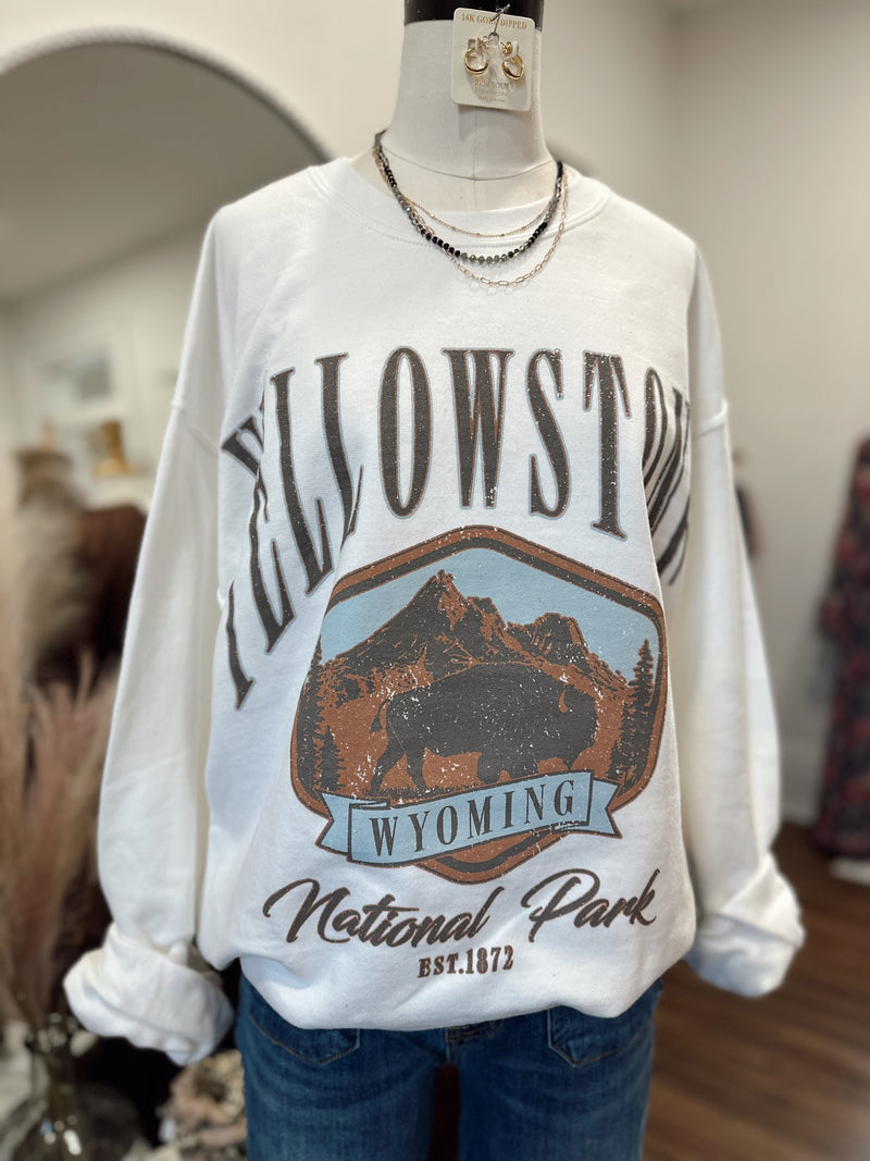 National Park Oversized Graphic Sweatshirt