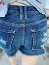 Aislinn Button Fly Shorts