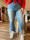 Curvy Distressed Jeans