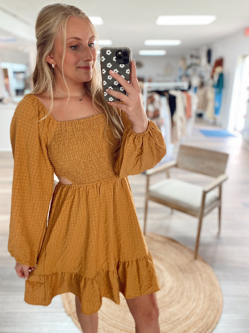 Charming Beauty Cut Out Woven Dress