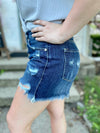 Aislinn Button Fly Shorts