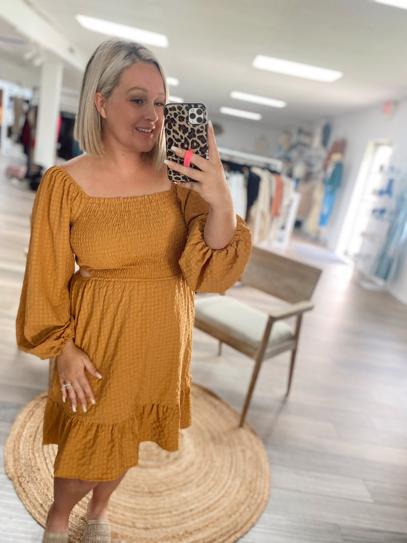 Charming Beauty Cut Out Woven Dress