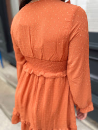 Arryn Long Sleeve Mini Dress
