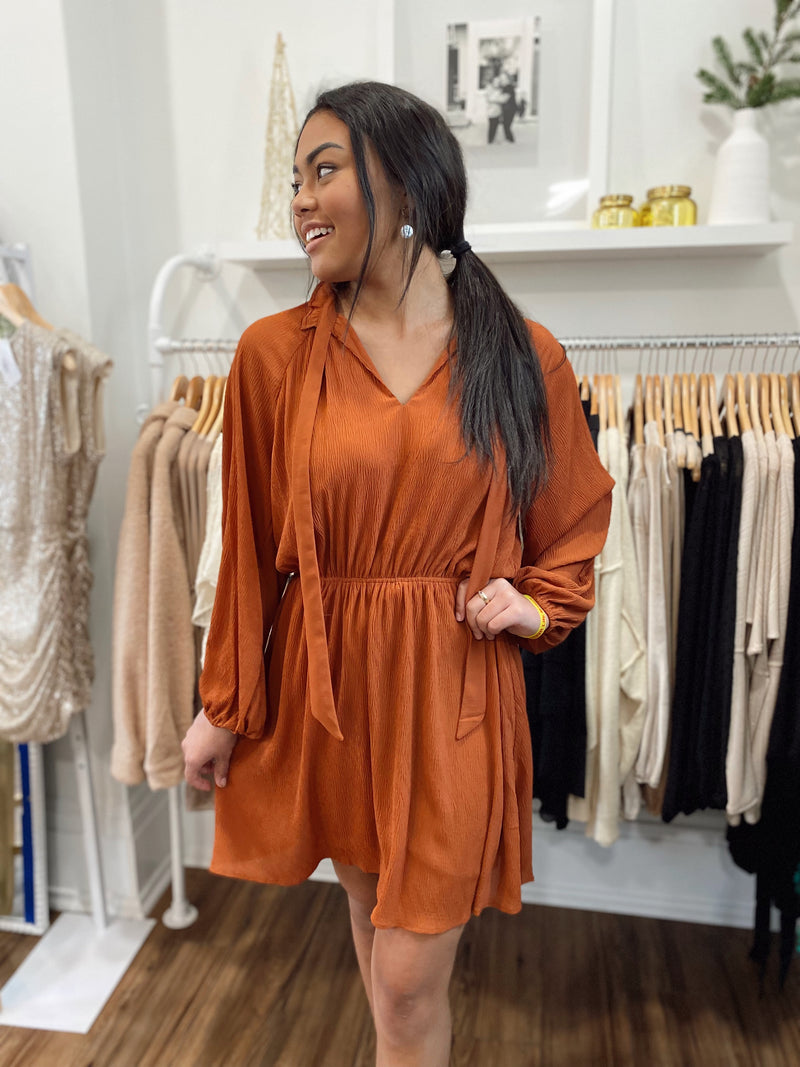 Fay Mock Neck Dress-Rust