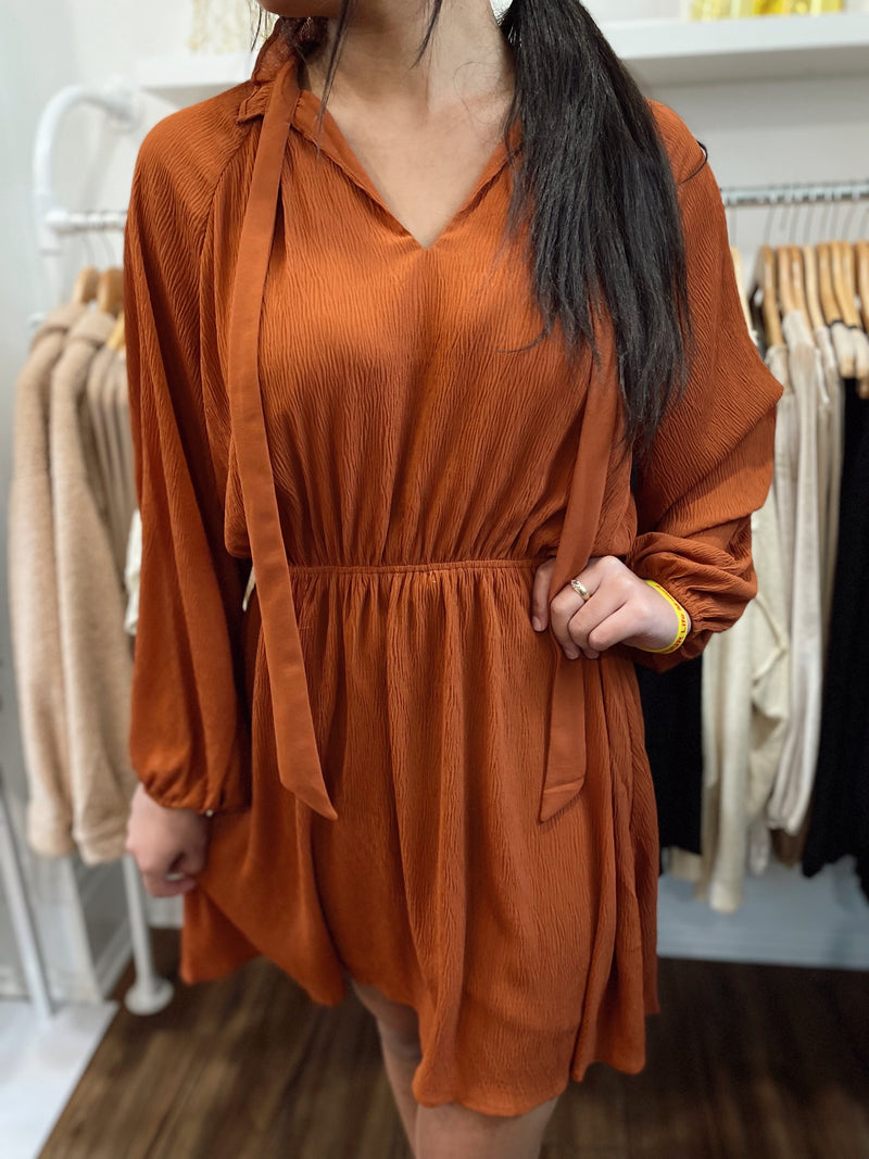 Fay Mock Neck Dress-Rust