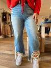 Curvy Distressed Jeans