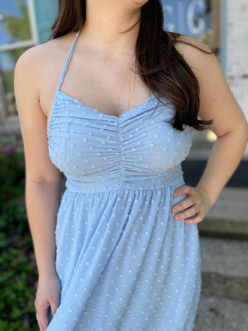 Beach Picture Perfect Dress