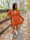 Arryn Long Sleeve Mini Dress