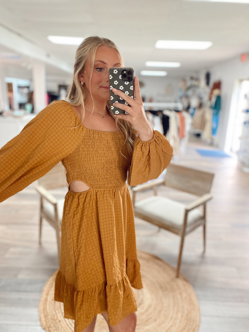Charming Beauty Cut Out Woven Dress