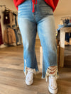 Curvy Distressed Jeans
