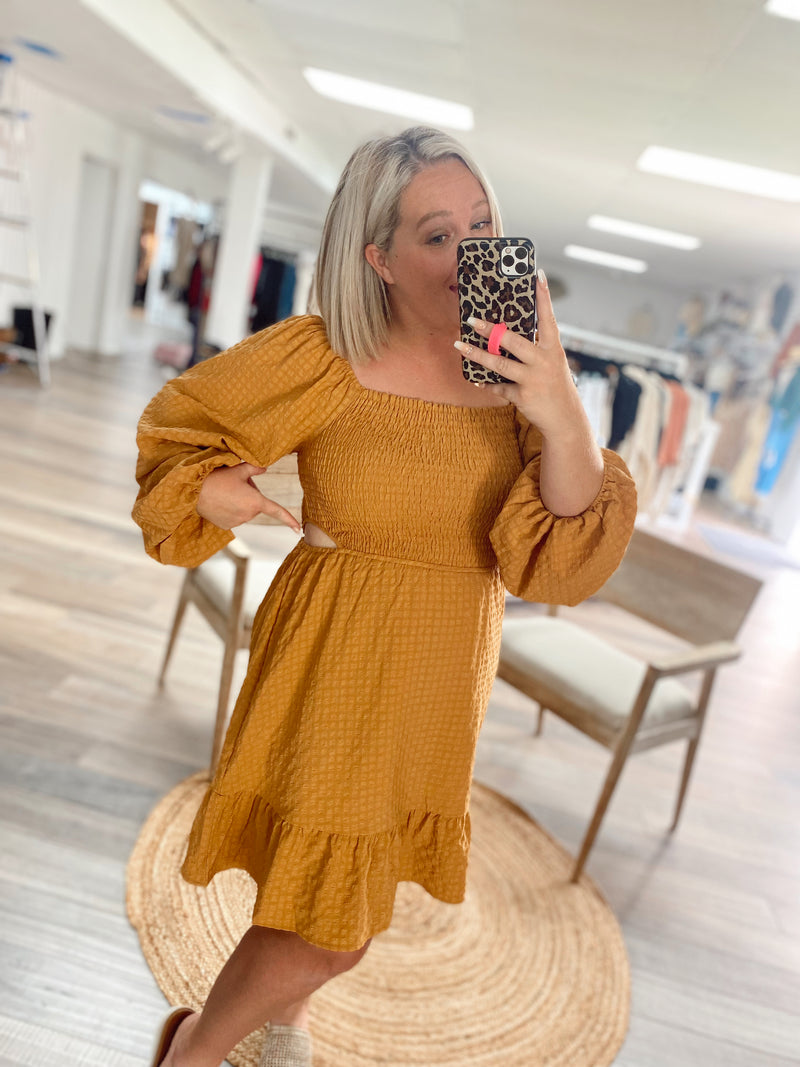 Charming Beauty Cut Out Woven Dress