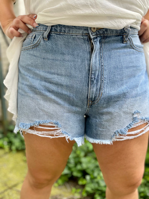 Curvy Distressed Denim Short