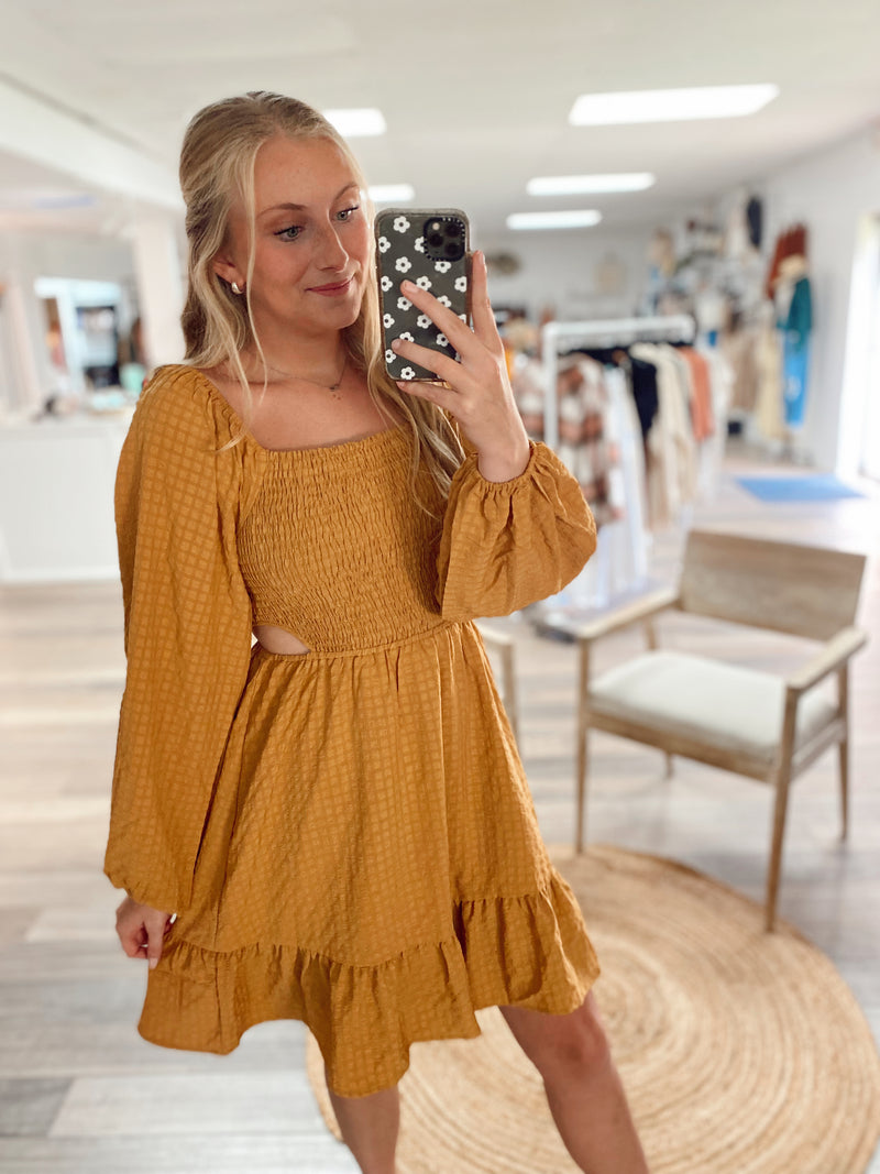 Charming Beauty Cut Out Woven Dress