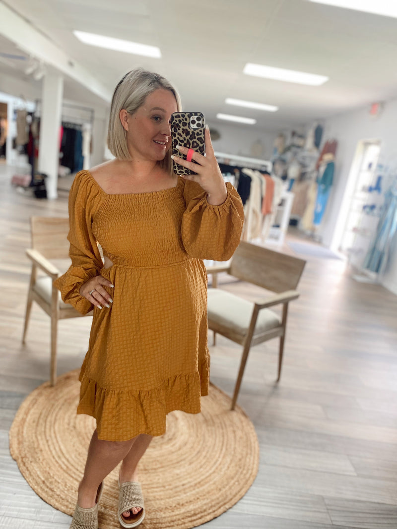 Charming Beauty Cut Out Woven Dress